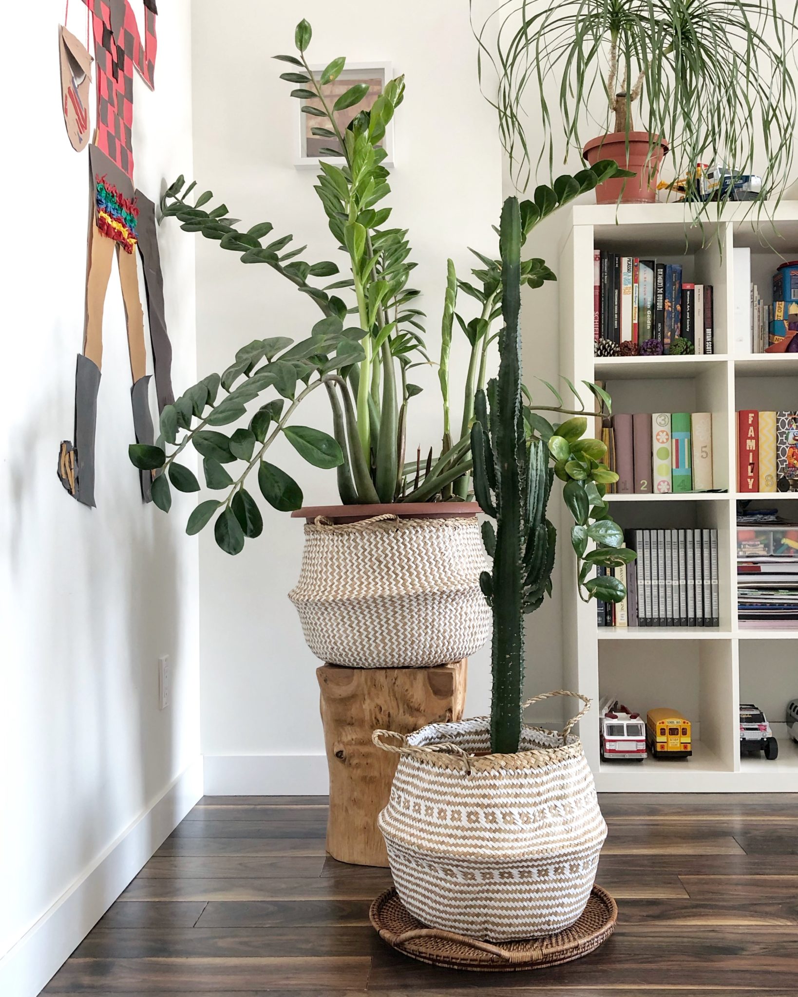 Indoor Plant Pots - How To Pick A Pot For Your Plant And Your Home - My ...