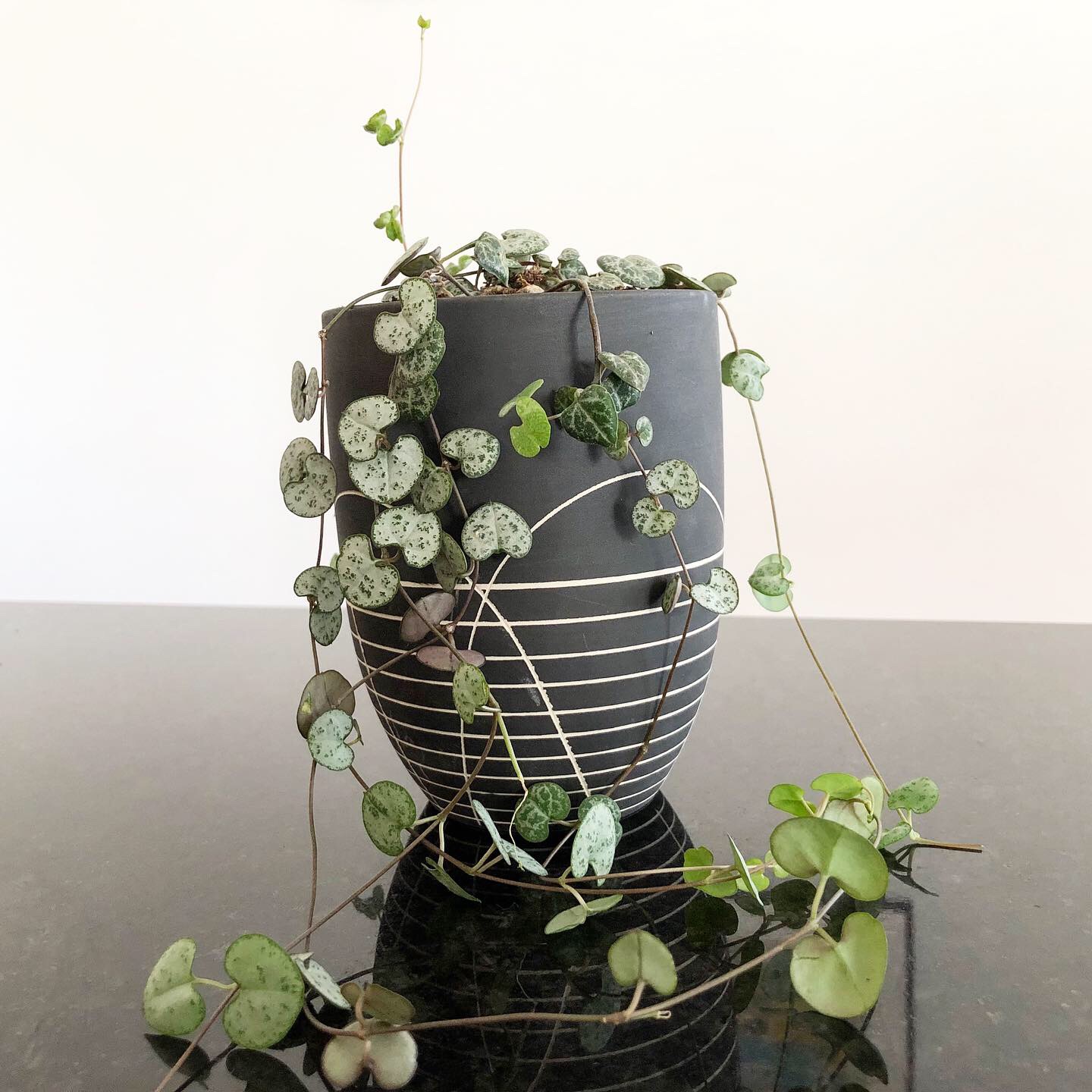 Indoor Plant Pots - How To Pick A Pot For Your Plant And Your Home - My ...