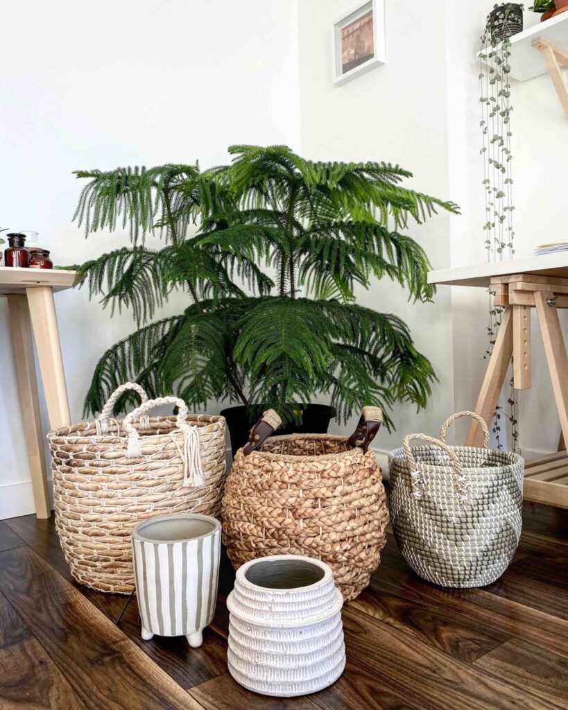 Straw Weaving Flower Plant Pot Basket Grass Planter Basket Indoor
